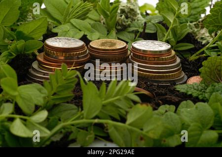 Tre pile di monete, circondate da terreno (terreno in crescita) e nuove foglie di piante verdi (crescita di recupero) Foto Stock