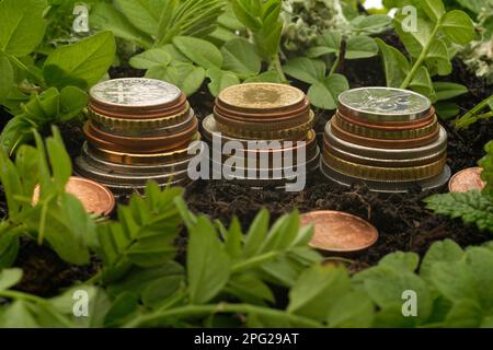 Tre pile di monete, circondate da terreno (terreno in crescita) e nuove foglie di piante verdi (crescita di recupero) Foto Stock