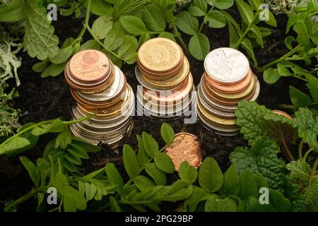 Tre pile di monete, circondate da terreno (terreno in crescita) e nuove foglie di piante verdi (crescita di recupero) Foto Stock