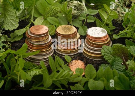 Tre pile di monete, circondate da terreno (terreno in crescita) e nuove foglie di piante verdi (crescita di recupero) Foto Stock