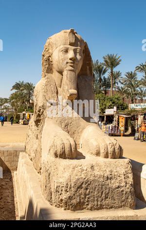 Alabastro Sfinge di Amenophis II al mit Rahina Museum, Memphis, vicino a Sakkara, Egitto Foto Stock