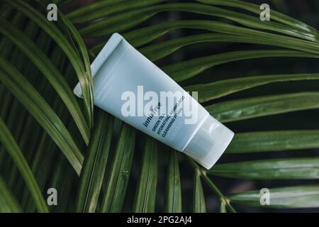 Schiuma detergente per tè verde Innisfree su sfondo tropicale palma. Cura della pelle prodotto coreano Foto Stock