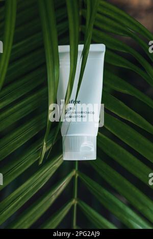 Schiuma detergente per tè verde Innisfree su sfondo tropicale palma. Cura della pelle prodotto coreano Foto Stock