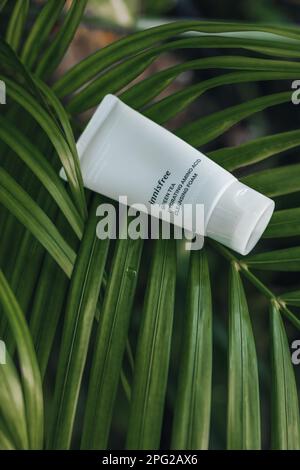 Schiuma detergente per tè verde Innisfree su sfondo tropicale palma. Cura della pelle prodotto coreano Foto Stock