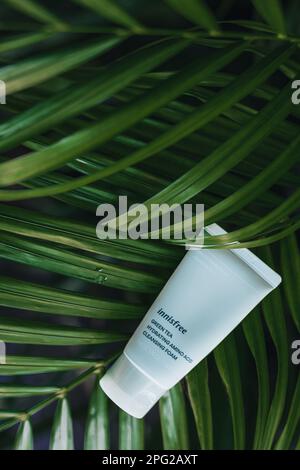 Schiuma detergente per tè verde Innisfree su sfondo tropicale palma. Cura della pelle prodotto coreano Foto Stock