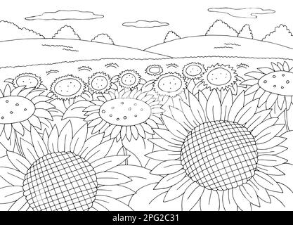 Girasole campo colorazione grafica nero bianco paesaggio disegno vettore illustrazione Illustrazione Vettoriale