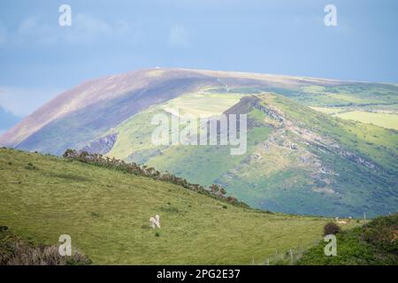 Vista verso Hangmans Point e Holdstone Hill da vicino Watermouth Cove, Ilfracombe, North Devon, Regno Unito Foto Stock