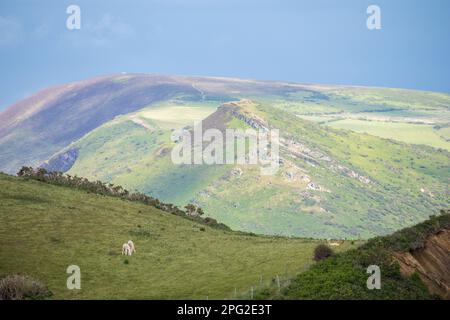 Vista verso Hangmans Point e Holdstone Hill da vicino Watermouth Cove, Ilfracombe, North Devon, Regno Unito Foto Stock