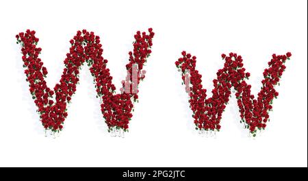 Concetto o set concettuale di belle rose rosse fiorite bouquet che formano il font W. 3D metafora di illustrazione per l'istruzione, il design e la decorazione, Foto Stock