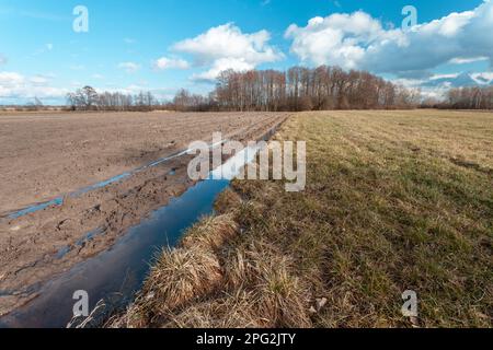 Acqua in un campo arato accanto a un prato e nuvole sul cielo blu Foto Stock