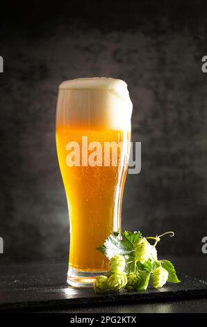 Un bicchiere di birra chiara con schiuma su fondo scuro e grappoli di luppolo verde. Birra non filtrata con schiuma spalmata sul bicchiere Foto Stock