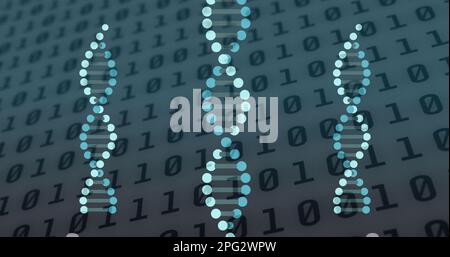 Immagine dei filamenti di dna che ruotano sull'elaborazione dei dati di codifica binaria Foto Stock