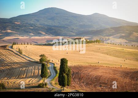 Durante l'autum, i campi della Toscana mostrano varie sfumature di giallo o marrone. Le stagioni migliori per visitare la Val d'Orcia sono l'autunno o la tarda primavera. Foto Stock