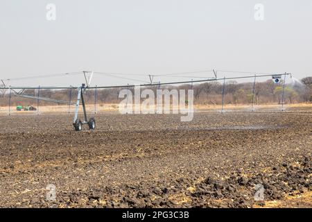 Vista panoramica di un grande campo di Pandamatenga irrigato con un sistema di irrigazione a perno centrale Foto Stock