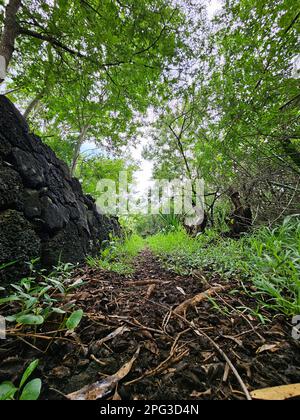 Un idilliaco sentiero sterrato si snoda attraverso un tranquillo paesaggio caratterizzato da una lussureggiante vegetazione verde e affioramenti rocciosi in lontananza Foto Stock