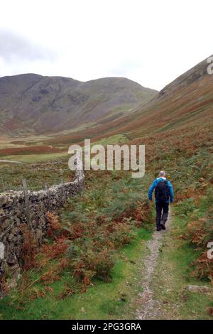 Uomo (escursionista) a piedi da Stone Wall sul percorso Black Sail Pass nella Mosedale Valley da Wasdale Head nel Lake District National Park, Cumbria. REGNO UNITO. Foto Stock