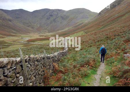 Uomo (escursionista) a piedi da Stone Wall sul percorso Black Sail Pass nella Mosedale Valley da Wasdale Head nel Lake District National Park, Cumbria. REGNO UNITO. Foto Stock