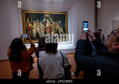 La Primavera, che significa Primavera, dipinta da Sandro Botticelli in mostra alla Galleria degli Uffizi a Firenze. Foto Stock