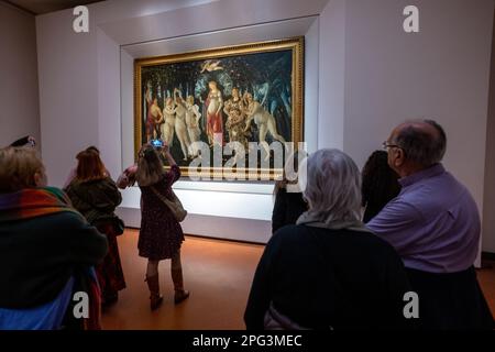 La Primavera, che significa Primavera, dipinta da Sandro Botticelli in mostra alla Galleria degli Uffizi a Firenze. Foto Stock