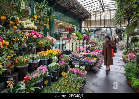 Marche aux Fleurs Reine Elizabeth II mercato dei fiori sulla Ile de la Cite, Parigi, Francia, Europa Foto Stock