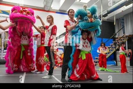 I bambini si allenano per lo spettacolo di danza leone alla Federazione delle Arti Marziali di Luk Chee fu a Quarry Bay. La Federazione delle Arti Marziali di Luk Chee fu fu fondata nel 1931, fornendo la tradizionale danza del leone e del drago, le arti marziali, il chiropratico cinese e il servizio di medicina cinese. Nel 1934, il Maestro Luk Chee fu fondò la Federazione delle Arti Marziali di Luk Chee fu a Hong Kong per insegnare le arti marziali e la danza dei leoni. Il maestro Luk ha trascorso una vita promuovendo la nobile forma d'arte delle arti marziali sono la danza del leone e del drago; e allo stesso tempo ha servito la comunità e ha offerto innumerevoli prestazioni di beneficenza, cure mediche Foto Stock