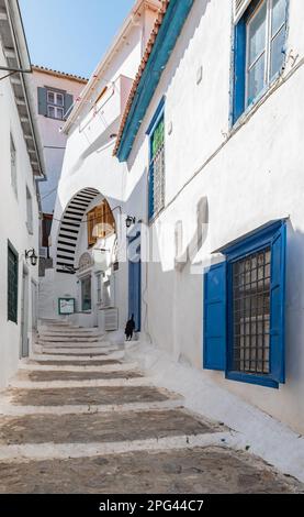 Strada stretta con gradini nel centro storico di Hydra, Grecia. Foto Stock