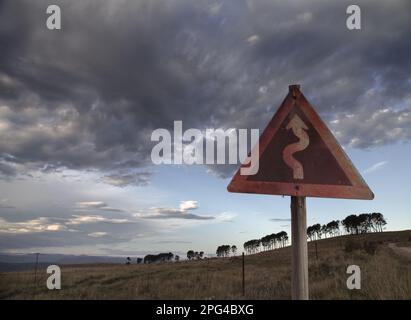 Una strada di fattoria si curva per le fattorie di bestiame sul Boschberg Plateau sopra Somerset East. Foto Stock