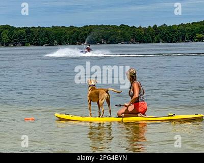 Ragazza e cane in piedi su una tavola da pagaia su un tranquillo sci di lakelet Foto Stock