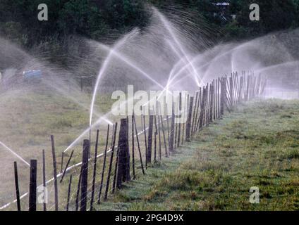 Gli irrigatori lavorano in un campo alla periferia della città di Herbertsdale in Sudafrica. Foto Stock