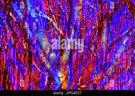 doppia esposizione, alberi e una porta rossa di siero di latte Foto Stock