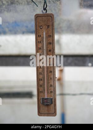 termometro di temperatura in legno e vetro appeso in una casa verde di vetro Foto Stock
