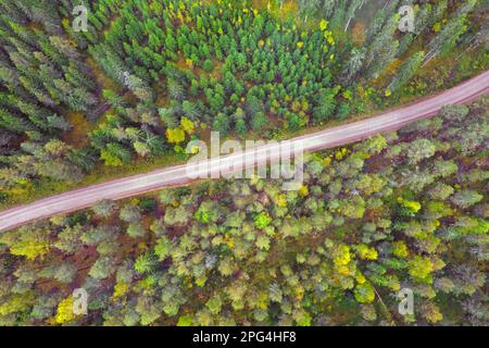 Vista aerea su alberi di conifere e desolata strada sterrata che attraversa la foresta di abete rosso in autunno / autunno, Dalarna, Svezia, Scandinavia Foto Stock