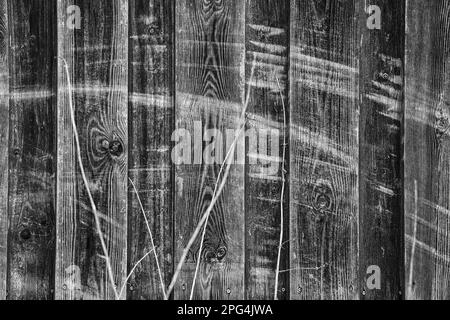 Vecchio muro di legno con tracce di graffio Foto Stock