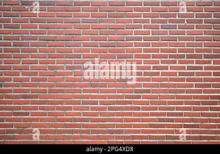 Parete di mattoni sottili, grout rosso spesso Foto Stock