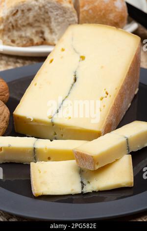 Collezione di formaggi, francese Morbier semi-morbido formaggio di vacca con stampo nero strato primo piano Foto Stock