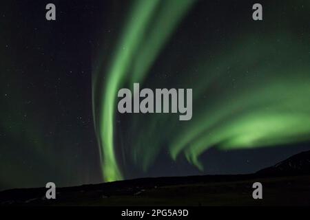 Aurora boreale, Islanda, Aurora boreale Foto Stock