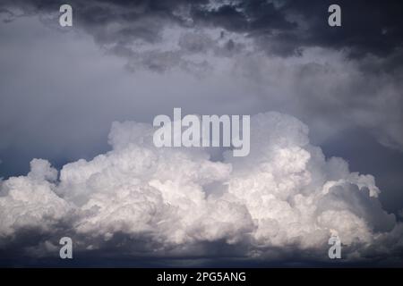 Foto drammatica e noosa delle nuvole di cumulo che si costruiscono durante una tempesta estiva nel tardo pomeriggio, vicino a Mildura, Victoria, Australia. Foto Stock
