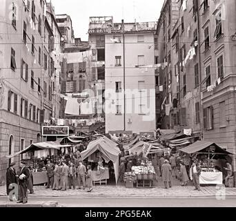 1950S AFFOLLATO MERCATO FRONTE MARE BANCARELLE NERO CAT BAR E APPENDERE LAVANDERIA GENOVA ITALIA - R6544 MAY001 HARS MASCHI EDIFICI EUROPA APPARTAMENTO B&W SHOPPER SHOPPERS QUARTIERE PROPRIETÀ EUROPEA ED ESTERNO BASSO ANGOLO ITALIA OCCUPAZIONI TENDE IMMOBILI STRUTTURE EDIFICIO COOPERAZIONE APPESO BANCARELLE LAVANDERIA INSIEME VENDERS LUNGOMARE NERO E BIANCO CAUCASICO ETNICITÀ MERCATO VECCHIO STILE Foto Stock