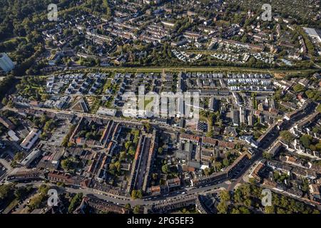 Veduta aerea, casa di filari tra Feldahornstraße e Rheinische Straße nel quartiere Feldmark a Gelsenkirchen, Ruhr, Nord Reno- Foto Stock