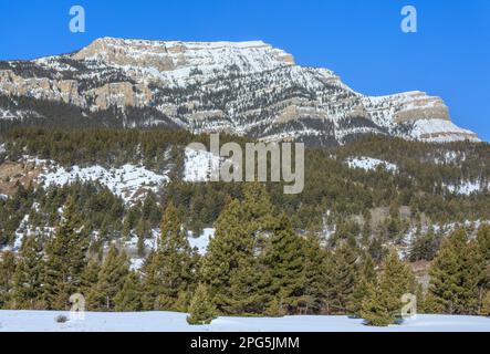 steamboat montagna in inverno vicino augusta, montana Foto Stock