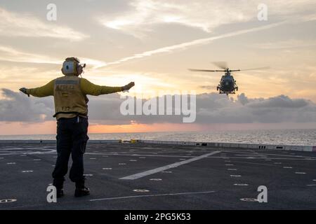 SOUTH CHINA SEA (16 marzo 2023) – Aviation Boatswain’s Mate (Handling) 3rd Class Kejuan Holland dirige una UH-1Y Venom, assegnata a Marine Medium Tiltrotor Squadron (VMM) 362 (Rein.), 13th Marine Expeditionary Unit (MEU), durante le operazioni di volo a bordo di un molo di trasporto anfibio USS Anchorage (LPD 23), 16 marzo 2023. La sincronizzazione delle capacità complementari dell'Anchorage 13th MEU e USS moltiplica l'influenza tradizionale dell'energia marina per produrre una forza più competitiva e letale. Il Makin Island Anfibio Ready Group, composto da nave d'assalto anfibio USS Makin Island (LHD 8) Foto Stock