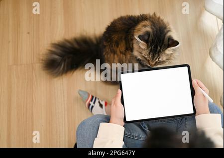 Vista dall'alto di una donna asiatica che usa la sua tavoletta digitale mentre il suo gatto è seduto davanti a lei. concetto di lavoro da casa Foto Stock