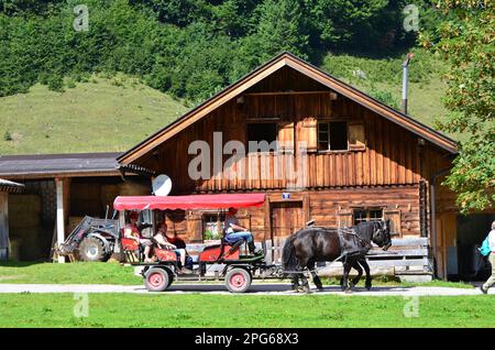 Almdorf, Rifugio alpino, carrozza trainata da cavalli, Engalm, zona escursionistica, Tirolo, Austria Foto Stock