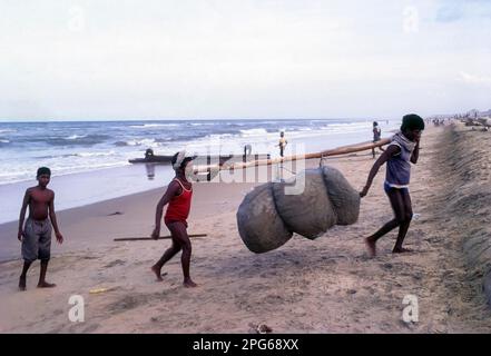 Pescatori in lavoro, Marina spiaggia a Chennai, Tamil Nadu, India, Asia Foto Stock