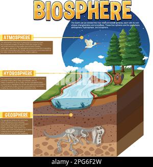 Biosphere Ecologia infografica per l'apprendimento Illustrazione Vettoriale