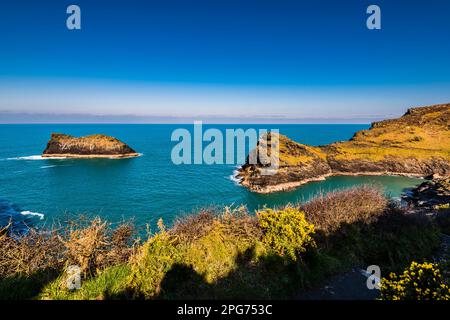 Vista sull'ingresso di Boscastle Harbour, Boscastle, Cornovaglia, Regno Unito Foto Stock