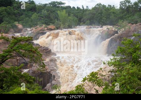 Cascata sul fiume Crocodile come scorre attraverso i Giardini Botanici a Nelspruit dopo il ciclone Elouise (26 gennaio 2021) Foto Stock