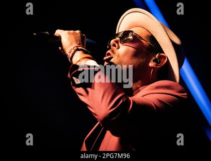 The Dualers, Voices from the Sun Tour, Cliffs Pavilion, Southend-on-Sea, Essex © Clarissa Debenham / Alamy Foto Stock