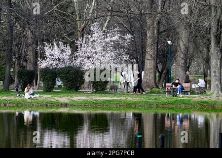 Skopje, Macedonia settentrionale. 20th Mar, 2023. La gente gode il paesaggio in un parco a Skopje, Macedonia del Nord, 20 marzo 2023. Credit: Tomislav Georgiev/Xinhua/Alamy Live News Foto Stock