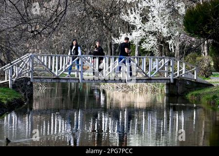 Skopje, Macedonia settentrionale. 20th Mar, 2023. La gente gode il paesaggio in un parco a Skopje, Macedonia del Nord, 20 marzo 2023. Credit: Tomislav Georgiev/Xinhua/Alamy Live News Foto Stock